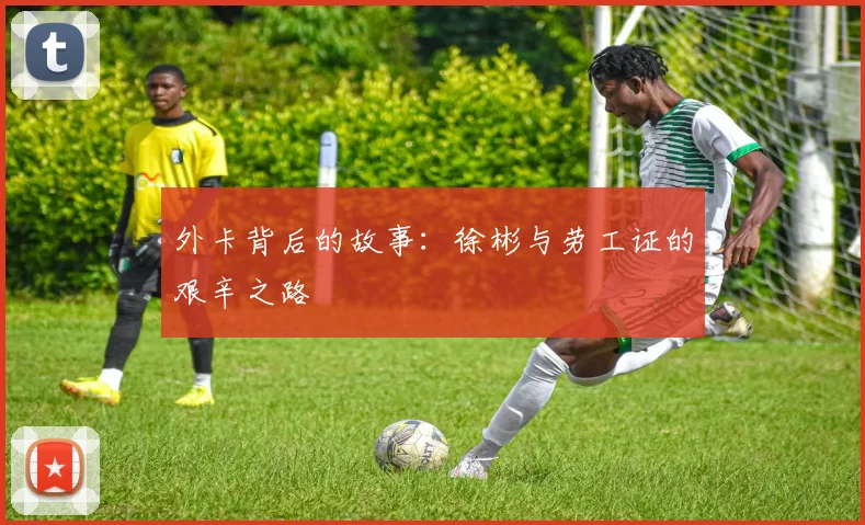 外卡背后的故事：徐彬与劳工证的艰辛之路